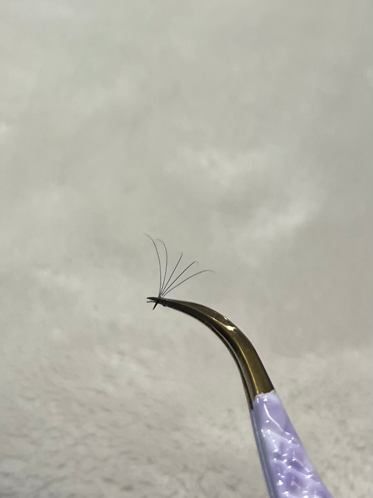 Cils préfaits | 5D pour pose hybride