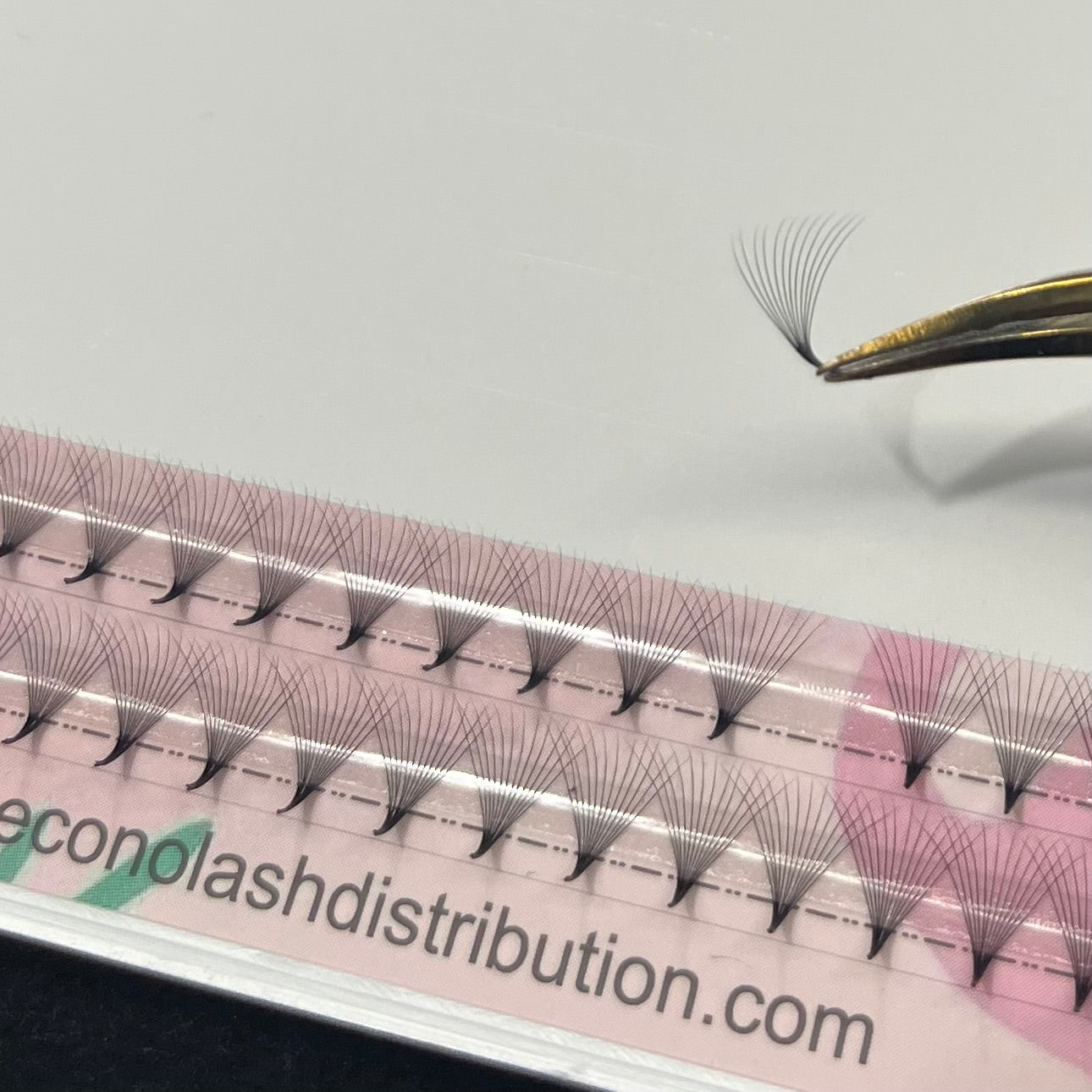 Cils préfaits | 12D pour pose volume