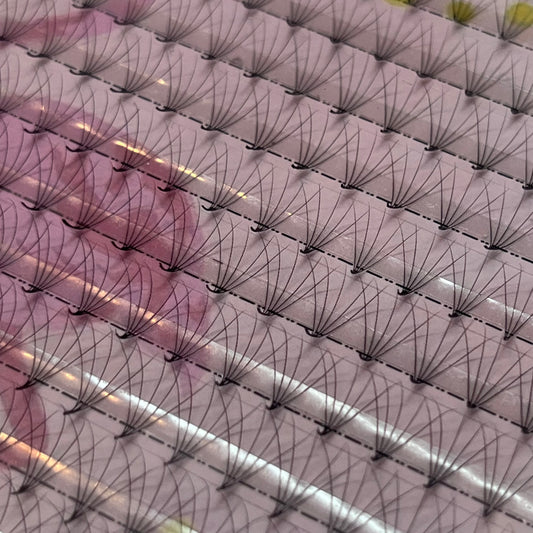 Cils préfaits | 5D pour pose hybride